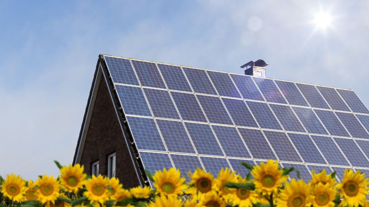 CREDA Floats INR 100 Crore Tender For 1,000 Off-Grid Solar Power Plants In Chhattisgarh