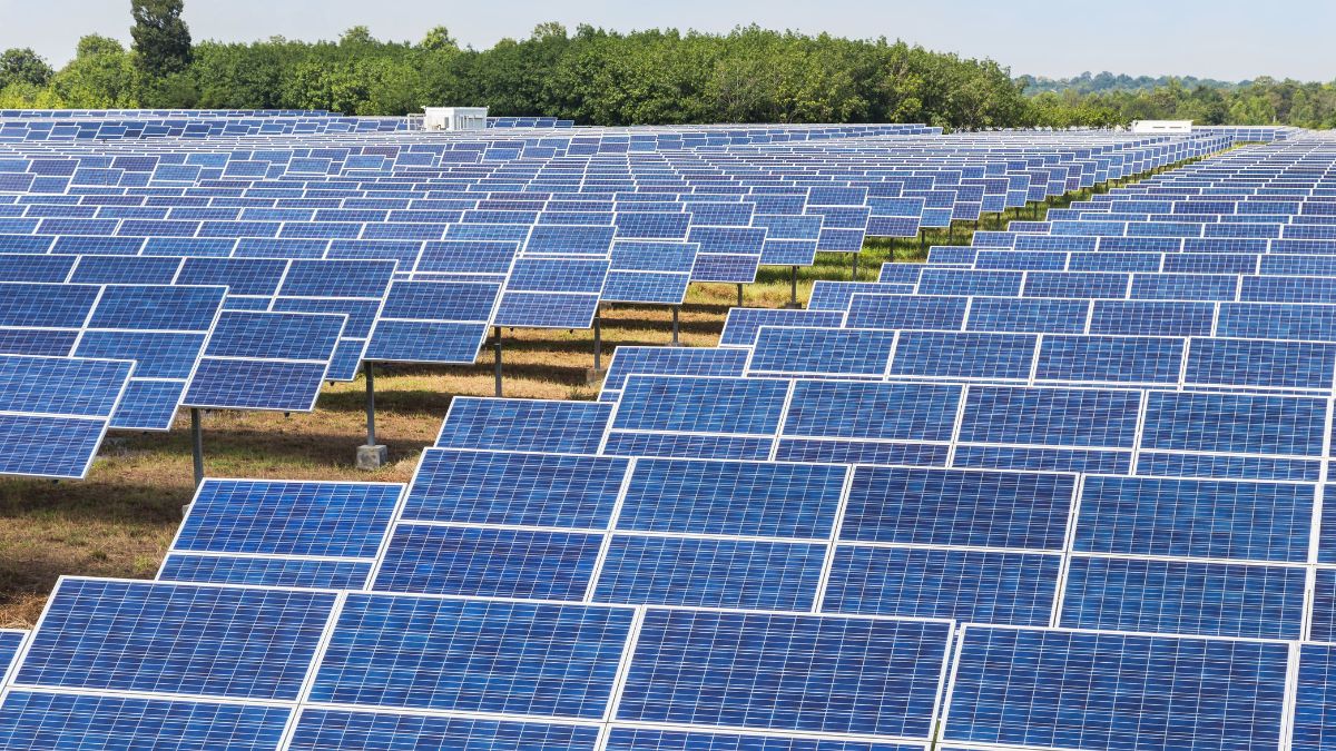 Kalpa Power Secures 286 MWp Utility-Scale Solar Project in Madhya Pradesh