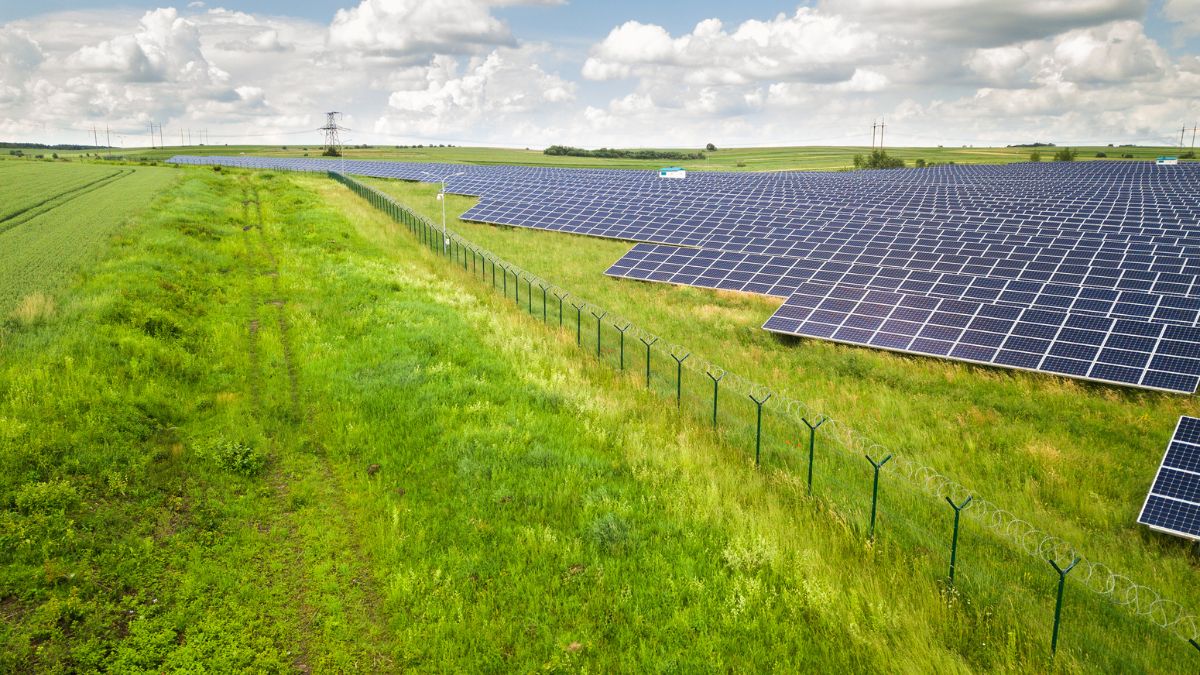Waaree Renewable Technologies Secures 210 MWp EPC Contract from Solaris Horizon Energy