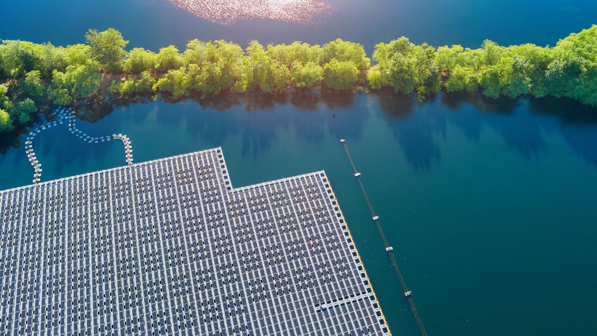 NTPC Invites Bids For Two-Year O&M Contract At 25 MW Floating Solar Plant In Simhadri, Andhra Pradesh