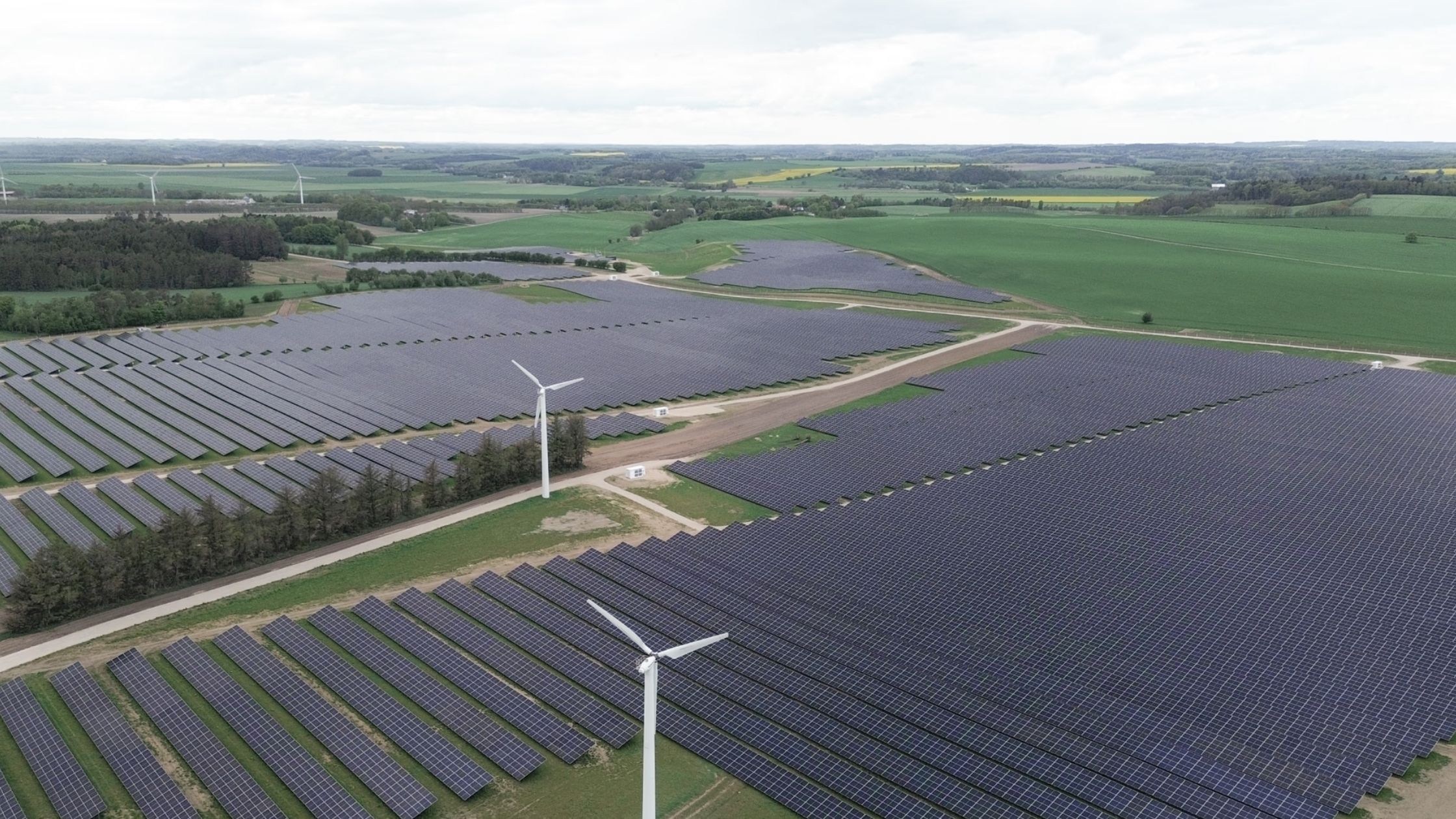 Søby Solar Park to Supply Renewable Power to Four Companies Under Fixed-Price PPAs