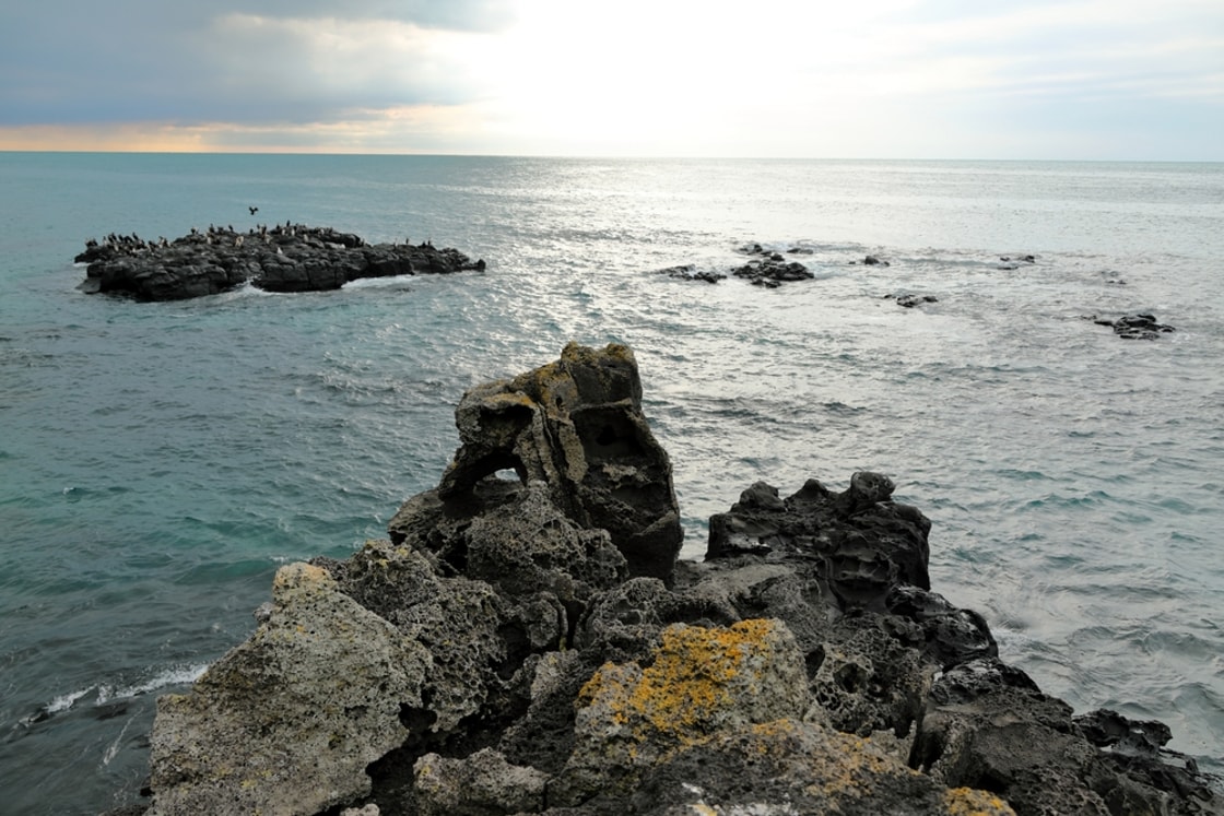 MIT-backed seawater technology locks away CO2 while producing hydrogen