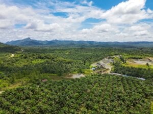 Pertagas and Renikola move ahead with Indonesia’s first biomethane-to-grid project