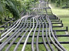 US Gasoline, Distillate Inventories Continue to Fall as Crude Stocks Hold