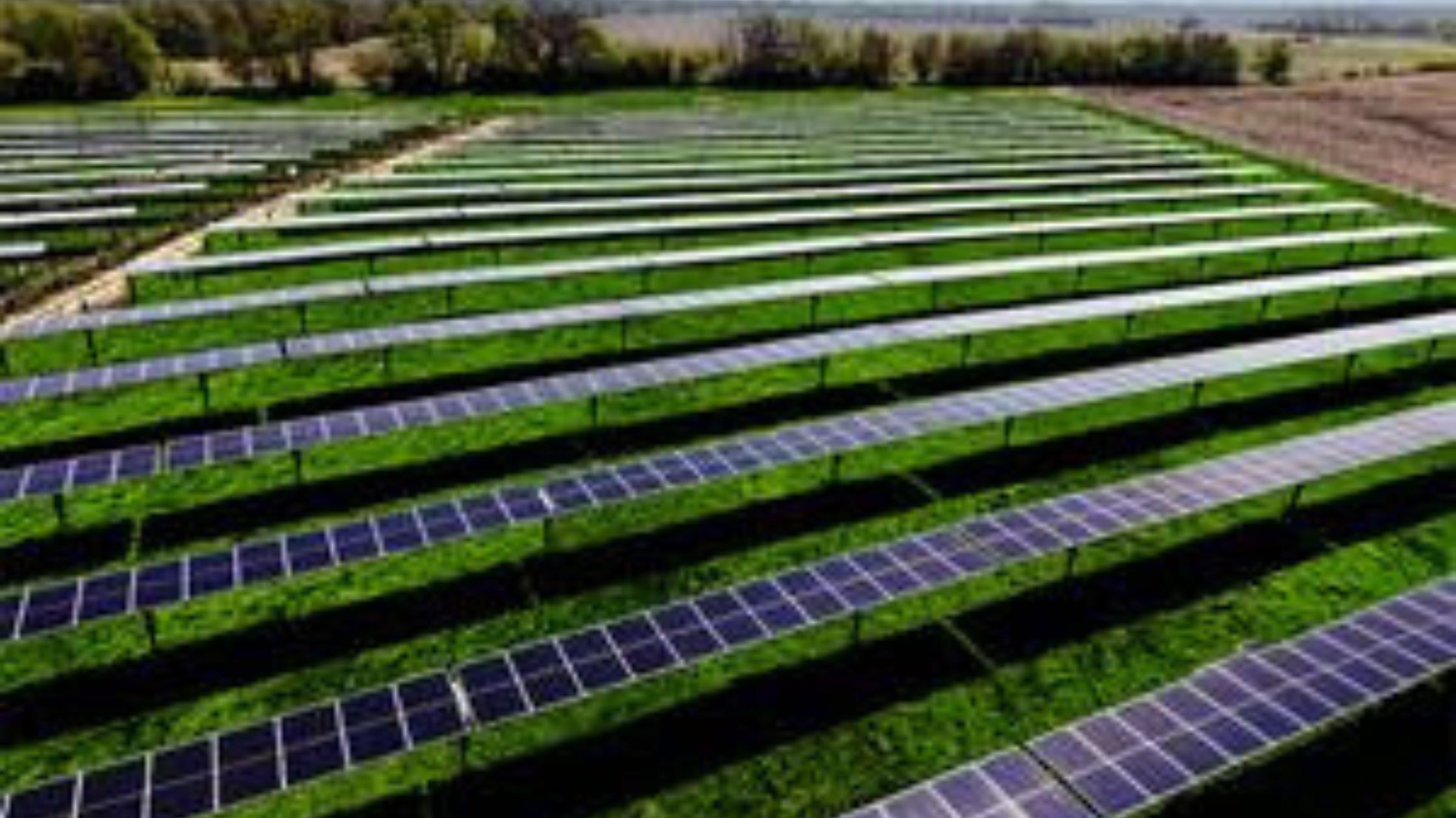 PureSky Energy’s 1.98 MW Community Solar Project Begins Operations In Illinois