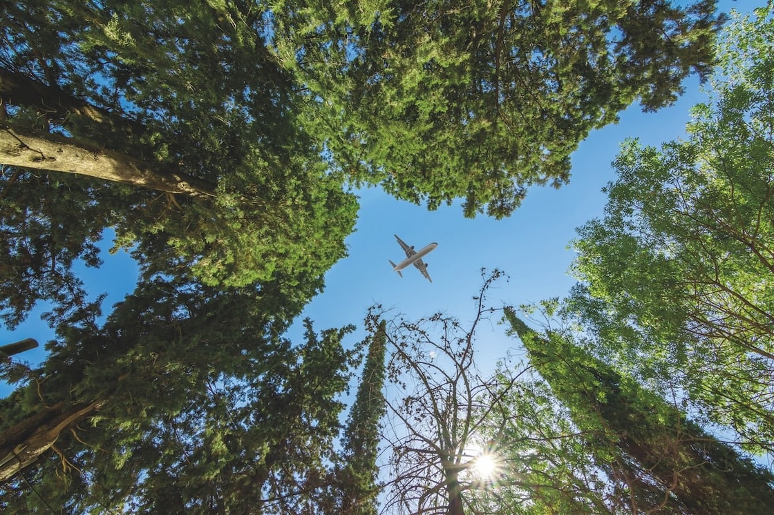 Biomass-to-SAF pathway offers opportunity to meet Canadian aviation targets