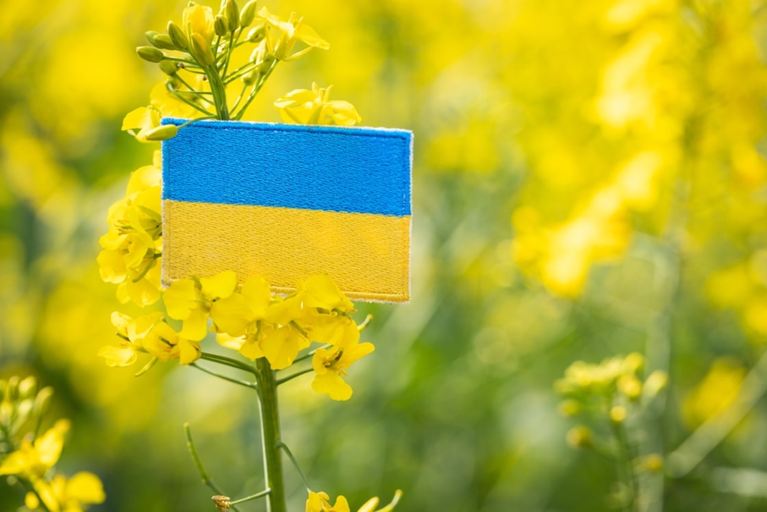 Analysis: How Ukraine is pushing ahead with biomethane