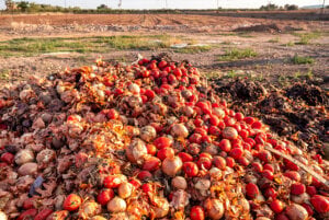India has 62 million tonnes of biogas potential, report finds
