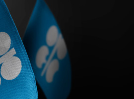 OPEC+ Holds November Quota at 31.01 Million Barrels Daily