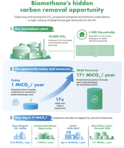 Biogenic CO2 sales could cut biomethane subsidy needs by a third, finds report