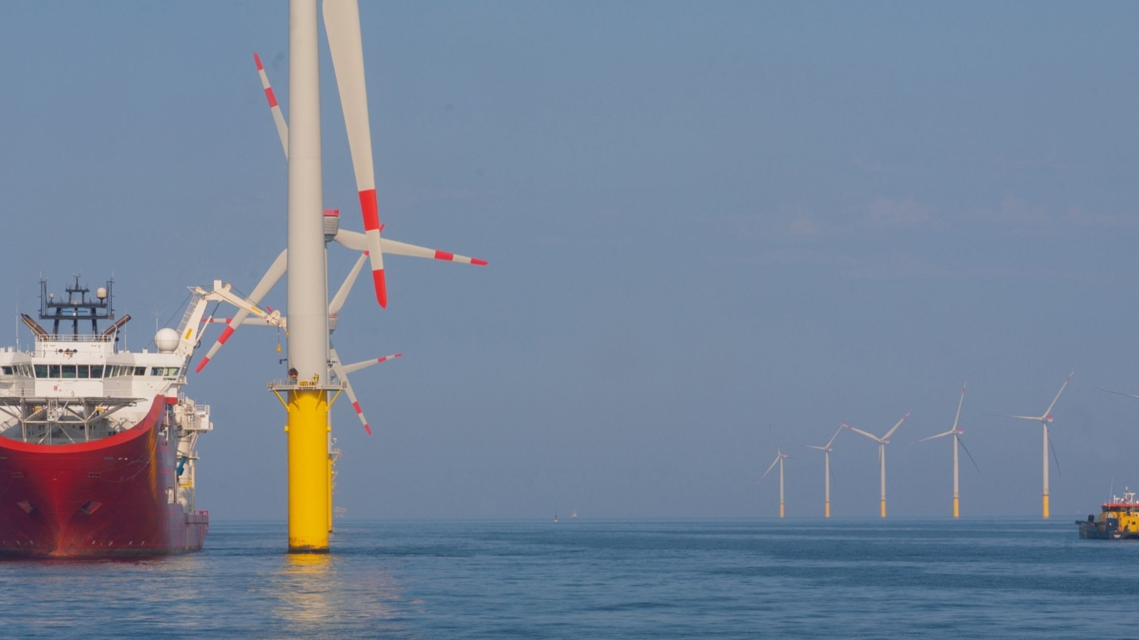 Dominion Energy–NextEra Merger Agreement Raises Concerns Over Offshore Wind and Renewable Energy in Virginia